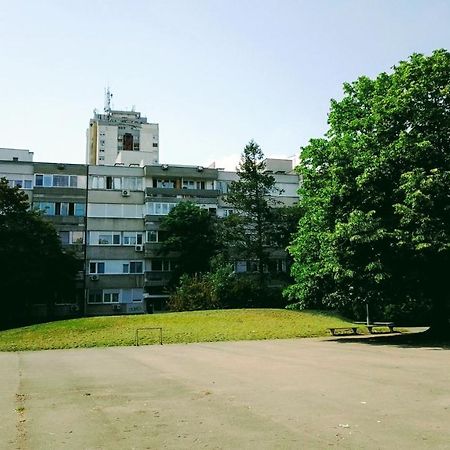 Men Who Knit Apartment Beograd Ngoại thất bức ảnh