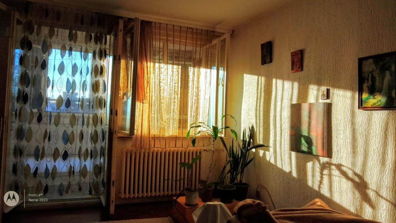 Men Who Knit Apartment Beograd Ngoại thất bức ảnh